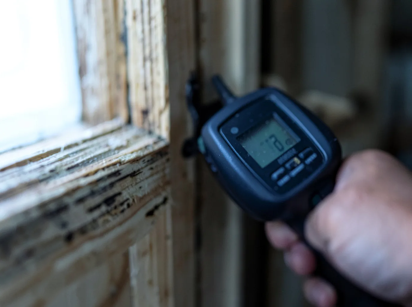 Moisture Inspection And Documentation in Glenwood Springs, CO
